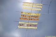 32 FESTIVAL CERVIA 2012 - 301